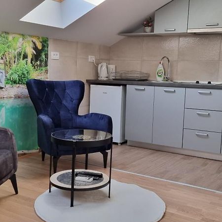 Naki Apartmani Podgorica Luaran gambar