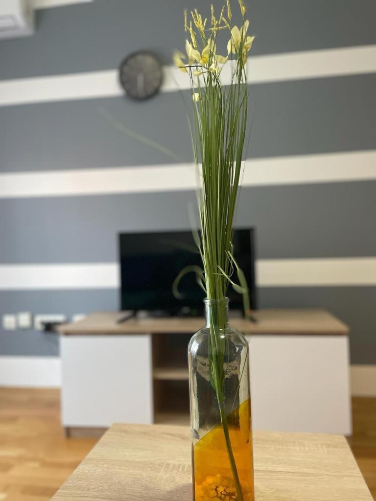 Naki Apartmani Podgorica Bilik gambar